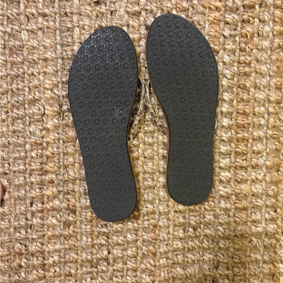 Reef - Picture 2 of 2